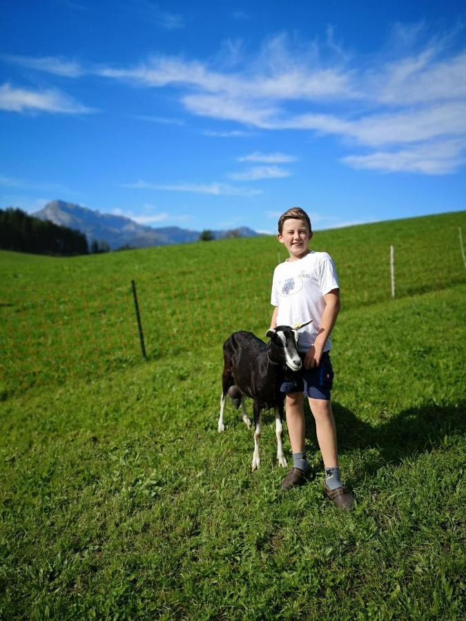 Apartment Hochmuthhof Reith im Alpbachtal